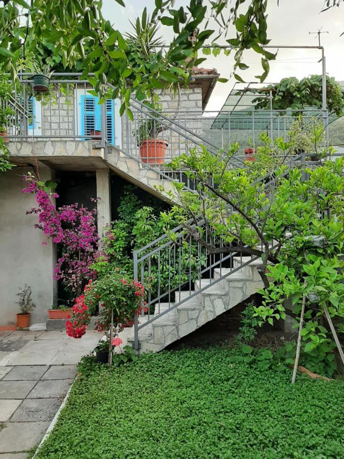 Apartment Magazini Petrovac エクステリア 写真